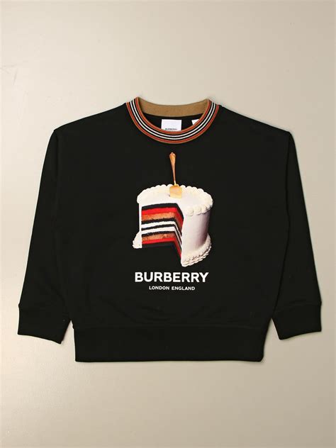 burberry cake sweatshirt